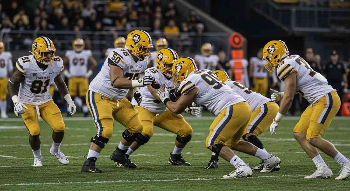 How Do Linebackers Contribute to the Defense