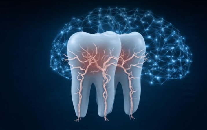 Clinical Evidence and Research Findings